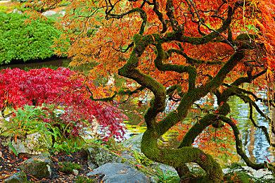 Steam商店页文字描述新规 禁止为其他商店或游戏打广告